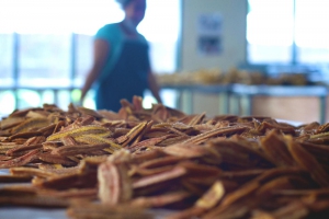 FAO and Samoa work together on tackling Financing Agriculture